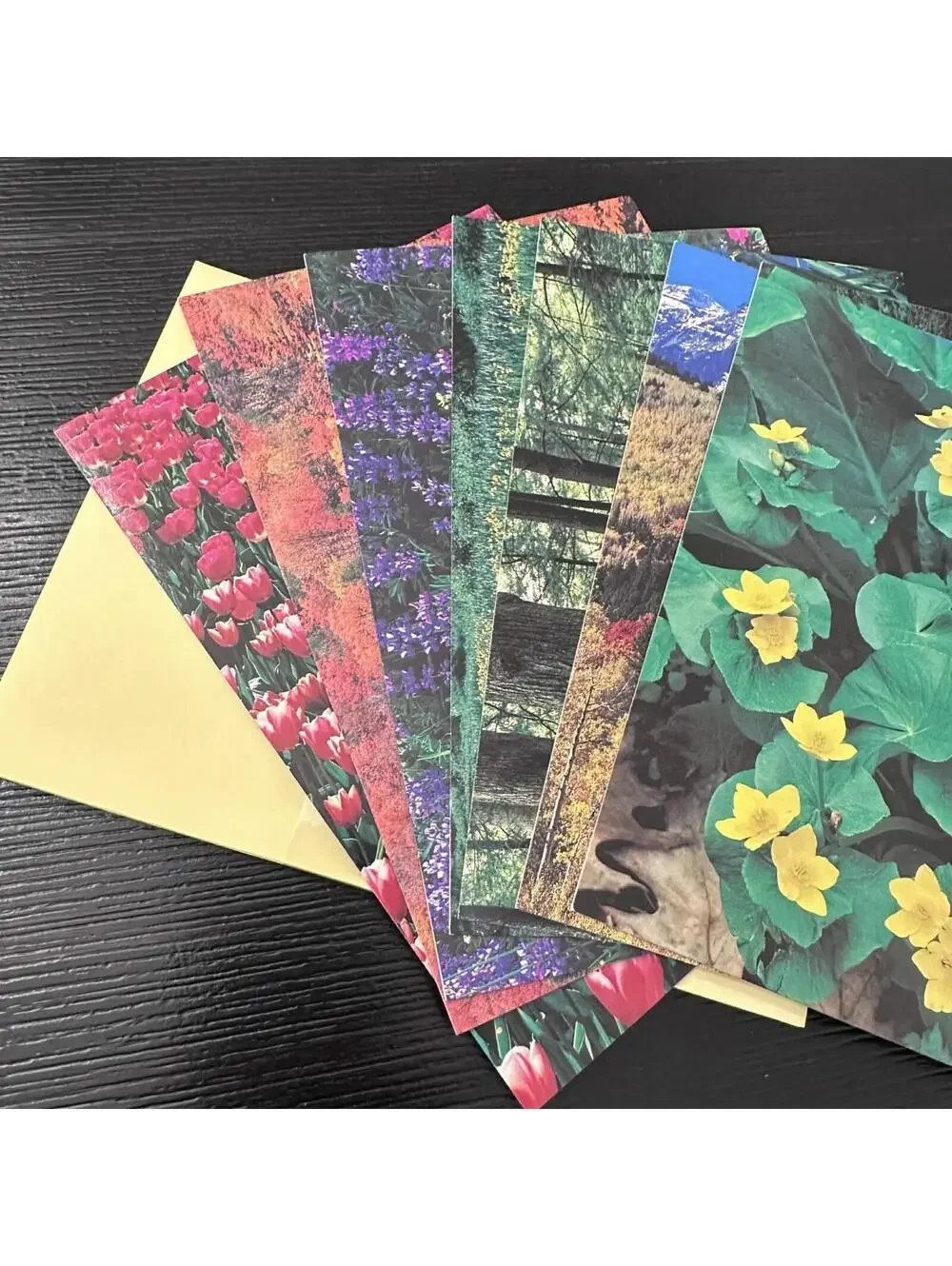 Vintage Current Photography Collection Nature Greeting Cards 7pc Lot New